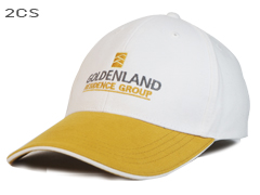หมวก Goldland